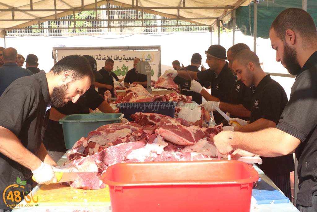 ada7y forthei (35).JPG